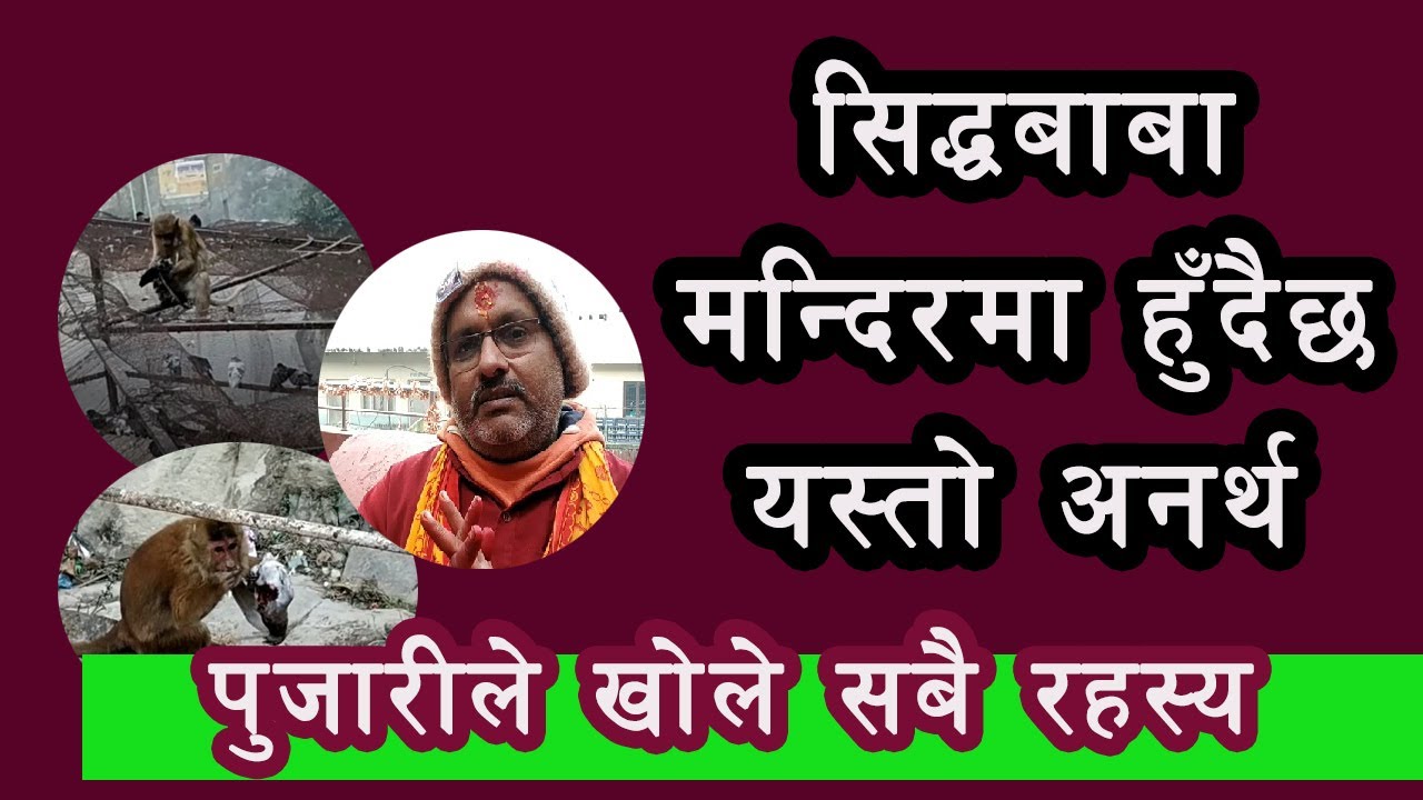 सिद्धबाबा मन्दिरमा बिभत्स रुपमा परेवा खाँदै बादर ||  Siddha Baba Temple || के हुँदैछ यस्तो अनर्थ ||