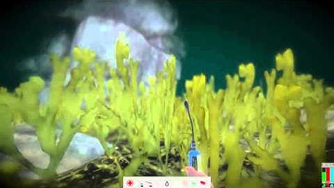 Hidden Rubbish Stockpile in Hide and Hold Out - H2o