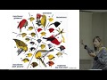 Intro to Hawaiian Forest Birds  - Sheldon Plentovich Presentation