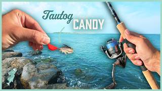 Tautog Season is HERE! | Tog Fishing the Jetty with Jigs