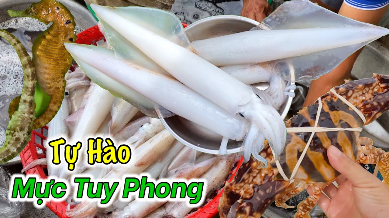 Hải Sản “Tuy Phong” Ngon Nhất Bình Thuận? Trao Tặng Số Tiền Đến Anh Sinh Thợ Lặn