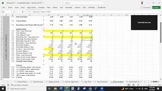 Financial Analysis: Step 2: Output Worksheets for evaluating financial performance