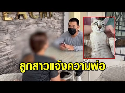 ลูกสาวแจ้งความพ่อ หลังขโมย 'แมว' สุดรักไปปล่อย จนถูกรถชนตาย อยากให้พ่อได้รับบทเรียน
