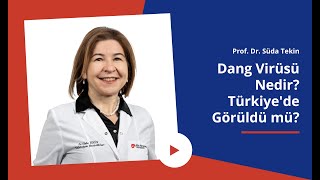 Dang Virüsü Nedir? Dang Virüsü Türkiyede Görüldü Mü? Prof. Dr. Süda Tekin