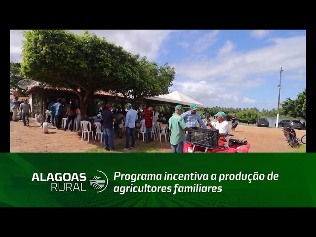 Programa incentiva a produção de agricultores familiares