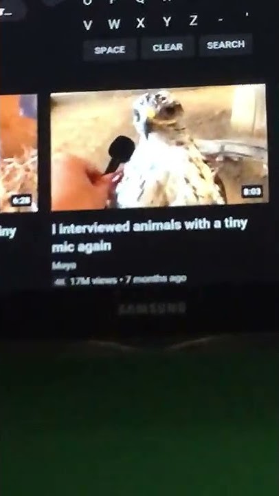 I Interviewed Animals With A Tiny Mic I interviewed animals with a tiny mic. #funny - YouTube