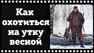 Как охотиться на утку весной и в чем секрет успешной охоты. Как охотиться на утку весной и в чем секрет успешной охоты.