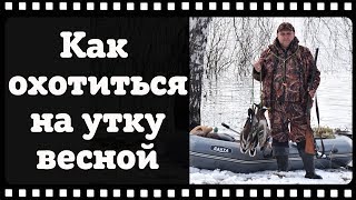 Как охотиться на утку весной и в чем секрет успешной охоты.