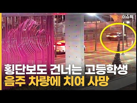 횡단보도 건너는 학생 친 뺑소니 음주 운전자 고교생 사망 [이슈픽]