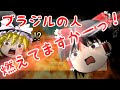 ゆっくり霊夢が征く！DSのNewスーパーマリオブラザーズ Part３【ゆっくり実況】