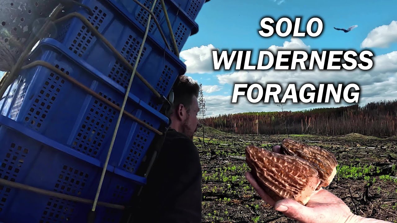 Carrying a Huge Pack Full of Wild Mushrooms out of the Bush!