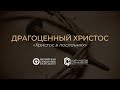 Драгоценный Христос | Христос в посланиях | Петренко Евгений