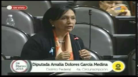 Diputada Amalia Dolores Garca Medina