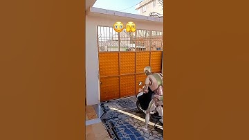 Robot VS Humans Funny 🤣 #shorts