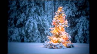 Silver Bells - The Starlites Singers and Orchestra