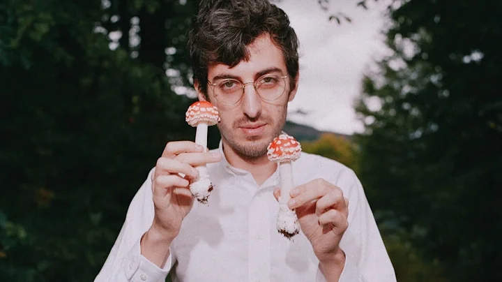 Hamilton Morris Is Changing the Way We Talk About ...