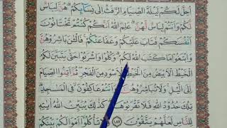 BELAJAR NGAJI   TAJWID | SURAT AL-BAQARAH AYAT 187 | Muhammad Rizki