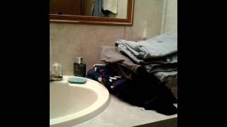 VID 20170128 1210551