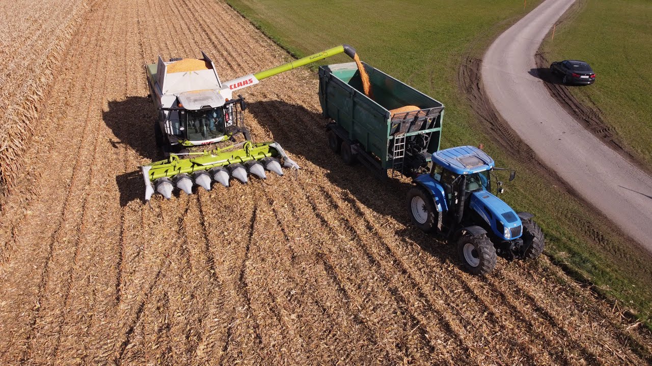 Mais Dreschen 2k20        /     Claas Lexion 5500Terra Trac           Kärnten
