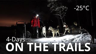 Chills & Thrills on the Trails at -25°C | 4-Day Dog Sledding Adventure