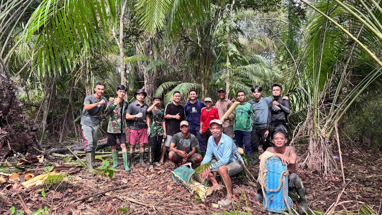 Cari Umbut Pantuk, Acara Tunangan Keluarga Di Kampung Halaman !!!!
