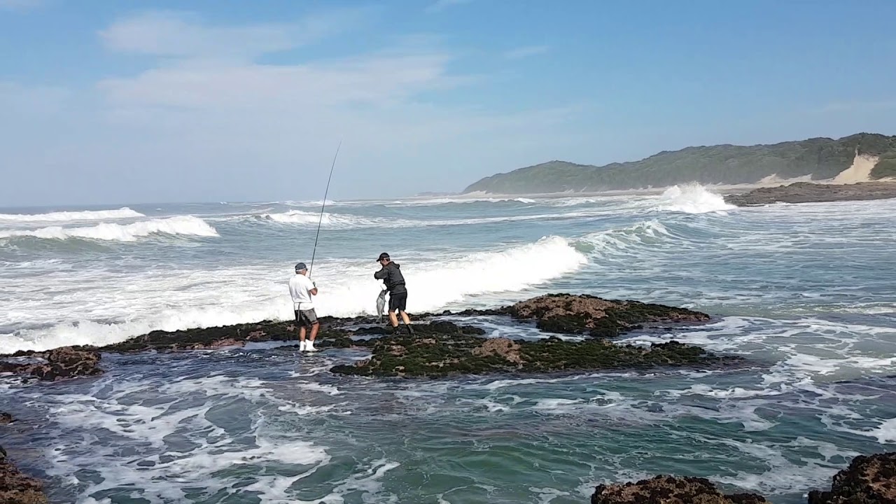 Drop Shot Fishing Eastern Cape YouTube