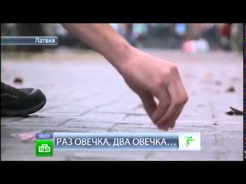 Зиновий Липинский "Раз овечка, два овечка"