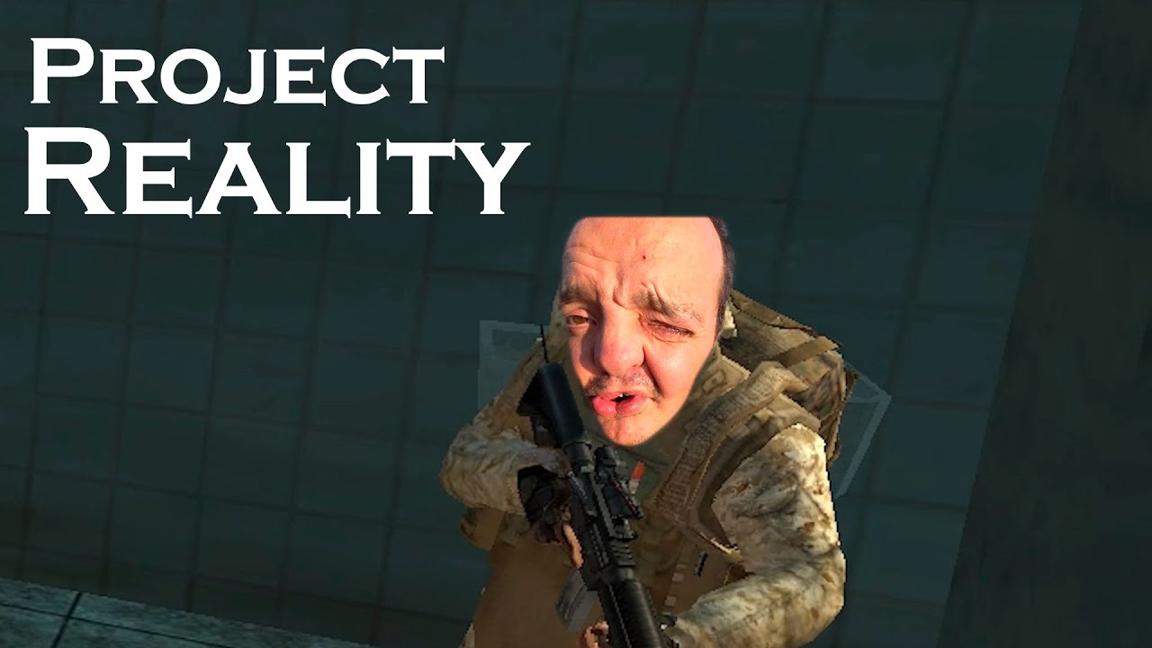 Биполярный PROJECT REALITY