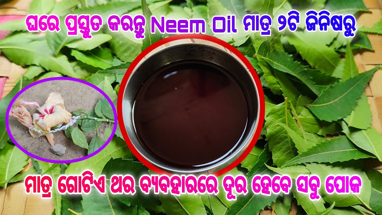 ଘରେ ପ୍ରସ୍ତୁତ କରନ୍ତୁ ନିମ୍ବ ତେଲ ମାତ୍ର ଗୋଟିଏ ଥର ବ୍ୟବହାରରେ ଦୂର ହେବେ ସବୁ ପୋକ ll HOW TO PREPARE NEEM OIL
