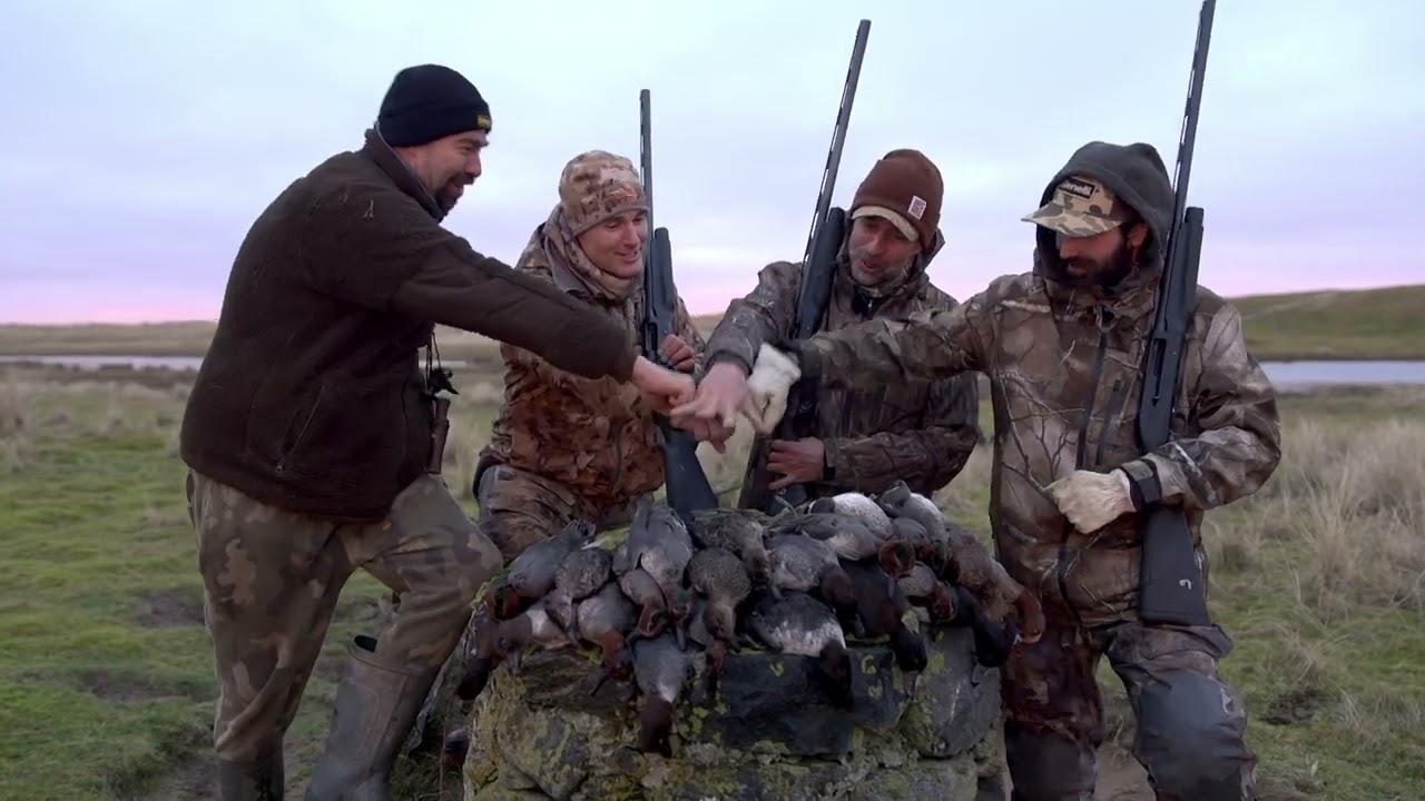 Qvo chasse en Écosse 