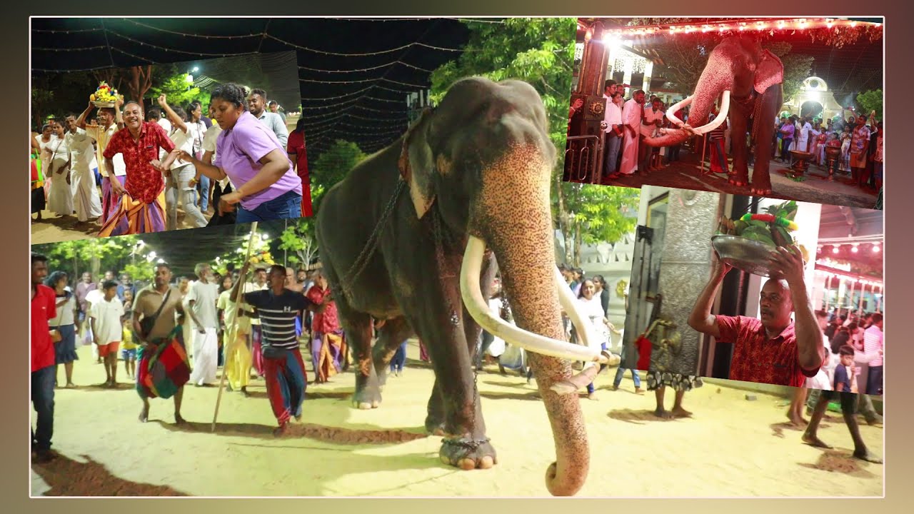 දෙවිහාමුදුරුවන්ගේ මංගල්‍යය සාර්ථකව නිමකර කාවාඩි නටා බැති උපහාර දක්වන අජිත් මාම වාසනා ඇතුළු පිරිස