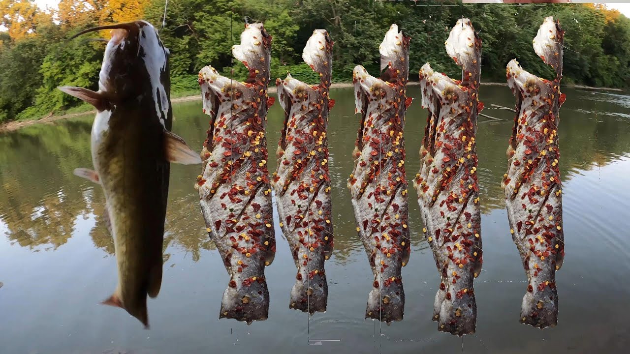 Catch cook How To Marinate Spicy seasoning n Cook Grilled Whole