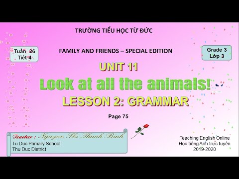 Grade 3 - unit 11: look at all the animals! lesson 2 : grammar