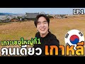 เที่ยวเกาหลีโนแพลนเช่ารถขับเกาะเชจูครั้งแรก!!! หนาวมาก... Mp3 Song