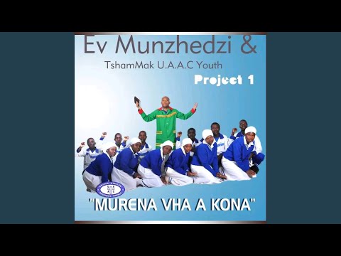 Dzithendo dzo vhafanela