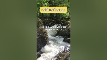 Self-Reflection #shorts #motivation