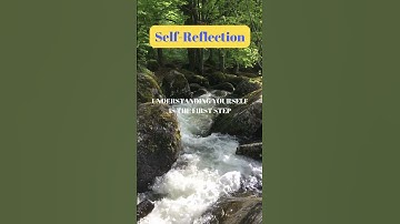 Self-Reflection #shorts #motivation