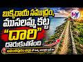 నా భయం అంతా నారా లోకేష్ బాబు గారి గురించే ఆనంద్ #libraryproblems #meesalaanand #chandrababu #mytv