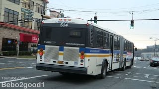 Bee-Line Bus Neoplan AN460 Route 21 Limited at Central Ave Harding Ave