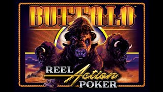 Buffalo Reel Action Poker - Grand Vision Gaming - Poker