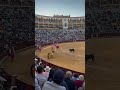 Watch Until The End Bullfighting Spain Spaintravel Shorts