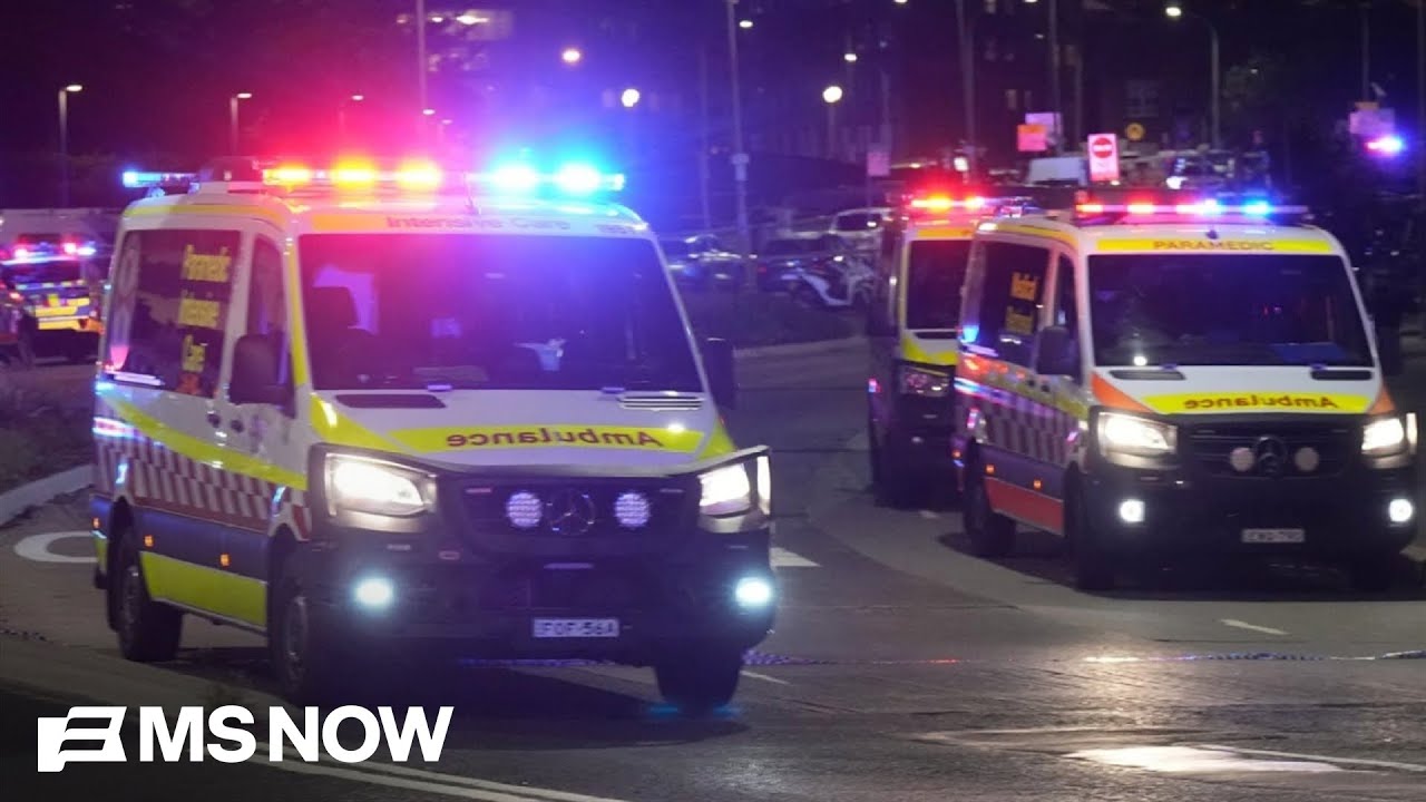 Police identify Sydney mass shooting suspects as father and son