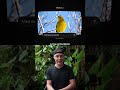 The Future Of AI Video Generation Is Here (Odyssey-2 Max) #ai #odyssey2