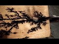 Lichtenbergovy obrazce, drevo, 2.2kV