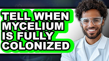 How To Tell When Mycelium Is Fully Colonized - Full Guide