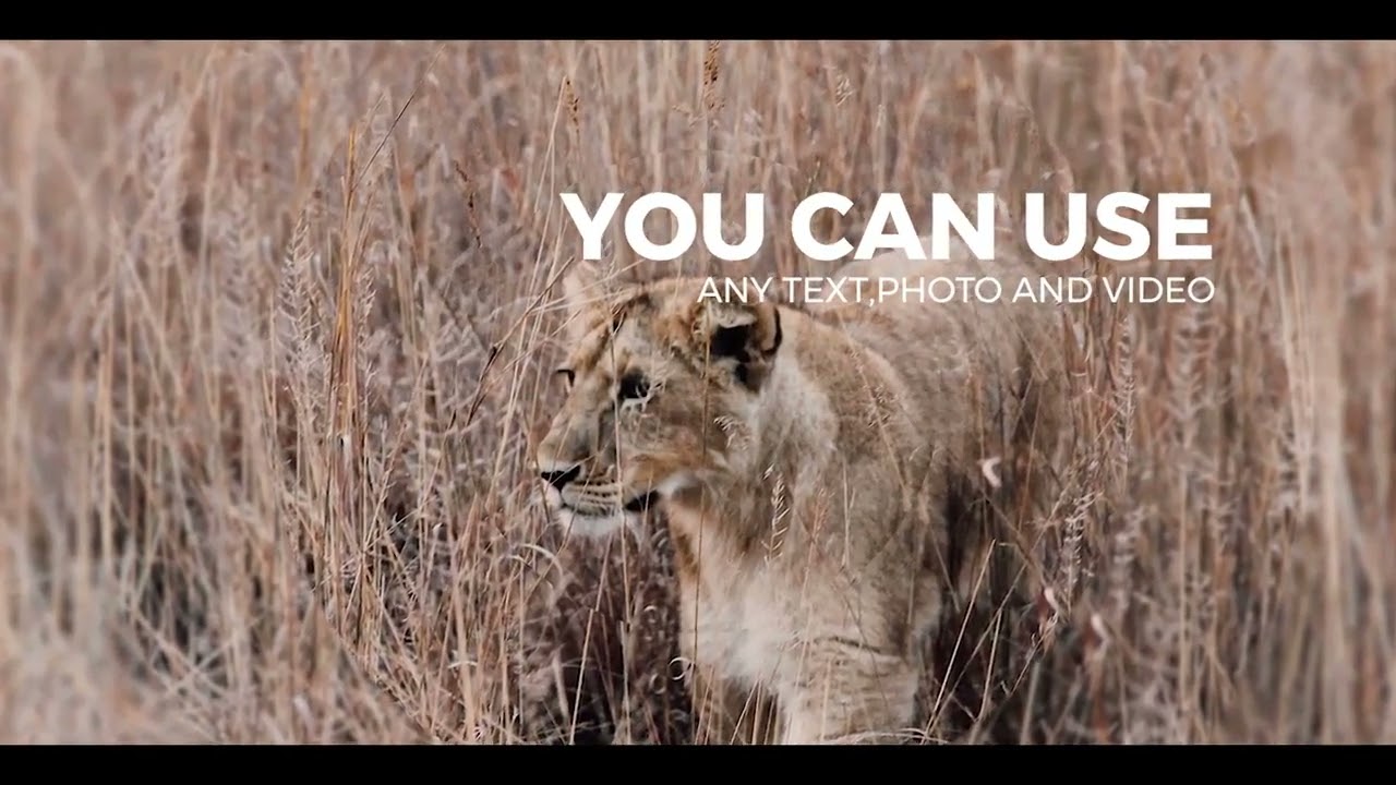 Parallax Slideshow Opener