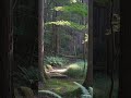 The Path That Was Forgotten | Lost Japan