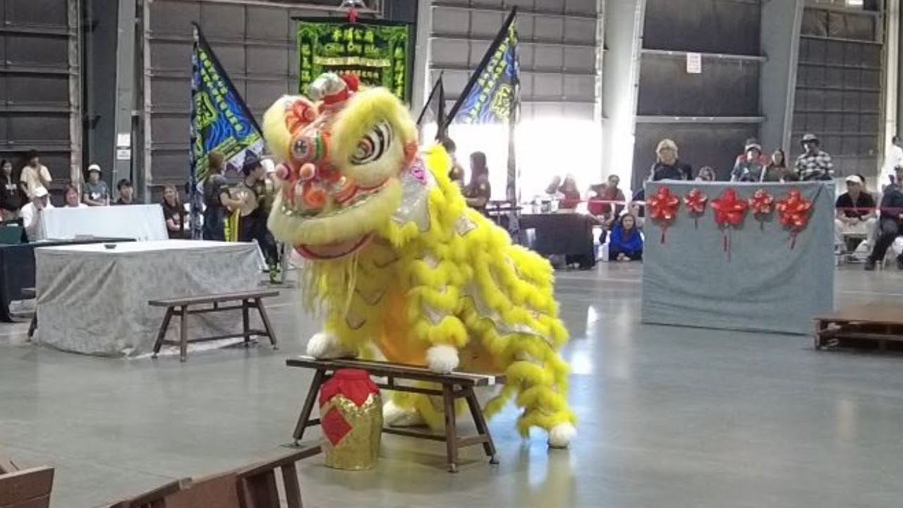TCT Lion Dance Team  - Phoenix Lion Dance Championships 2025