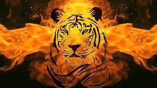 Wild Animals Logo Fire Effects Intro II Black Screen II BirammaSakthiTech