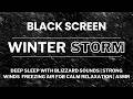 Deep Sleep with Blizzard Sounds | Strong Winds &amp; Freezing Air for Calm Relaxation | ASMR